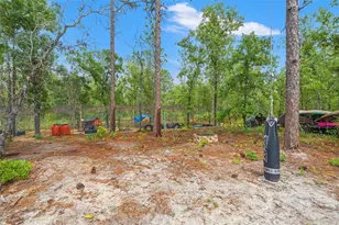 18336 Macek Rd, Weeki Wachee, FL 34614 - Photo 40
