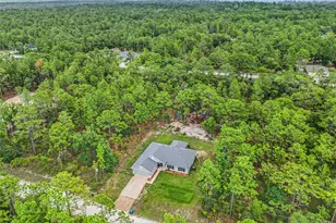 18336 Macek Rd, Weeki Wachee, FL 34614 - Photo 44