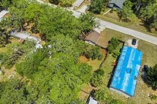 9430 Peony St, New Port Richey, FL 34654 - Photo 34
