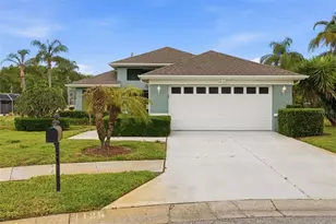 1125 Daleside Ln, New Port Richey, FL 34655 - Photo 2