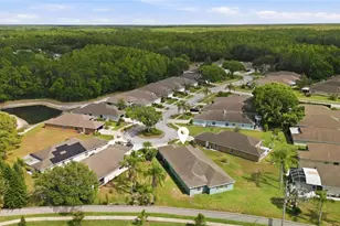 1125 Daleside Ln, New Port Richey, FL 34655 - Photo 50