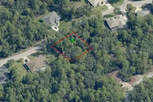 31 Saintpaulia St, Homosassa, FL 34446 - Photo 1