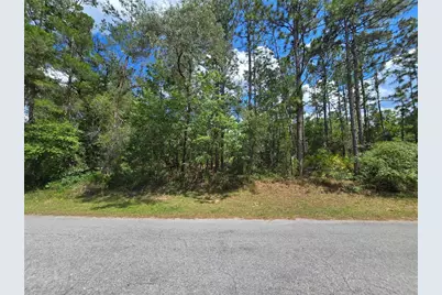 31 Saintpaulia Street, Homosassa, FL 34446 - Photo 4