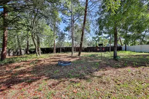 11213 Flock Ave, Weeki Wachee, FL 34613 - Photo 42