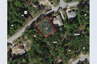 29 Saintpaulia Street, Homosassa, FL 34446 - Photo 2