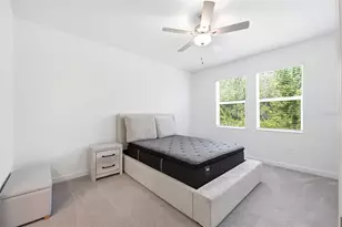 9776 Minnow Ray Dr, Land O Lakes, FL 34638 - Photo 18