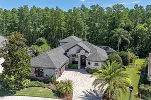 15223 Wind Whisper Dr, Odessa, FL 33556 - Photo 68