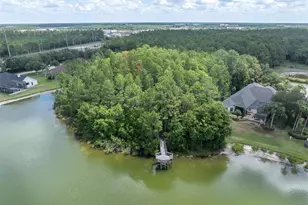 15223 Wind Whisper Dr, Odessa, FL 33556 - Photo 76