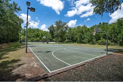 15223 Wind Whisper Drive, Odessa, FL 33556 - Photo 60