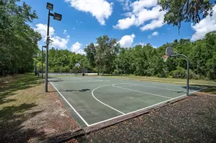 15223 Wind Whisper Dr, Odessa, FL 33556 - Photo 60