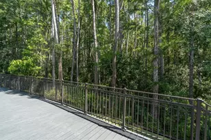 15223 Wind Whisper Dr, Odessa, FL 33556 - Photo 54