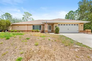 3272 Bluestone Ave, Spring Hill, FL 34609 - Photo 8