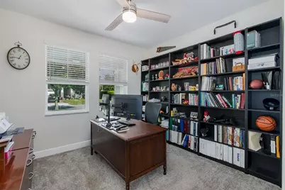 3880 Mellon Drive, Odessa, FL 33556 - Photo 30