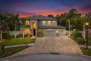 14810 Ninebark Ct, Land O Lakes, FL 34638 - Photo 60