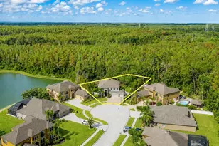 14810 Ninebark Ct, Land O Lakes, FL 34638 - Photo 2