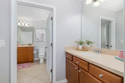 14810 Ninebark Court, Land O Lakes, FL 34638 - Photo 32