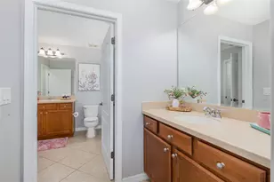 14810 Ninebark Ct, Land O Lakes, FL 34638 - Photo 32