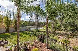 14810 Ninebark Ct, Land O Lakes, FL 34638 - Photo 56