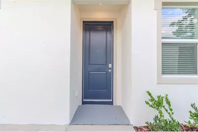 31365 Paper Birch Street, Wesley Chapel, FL 33545 - Photo 4