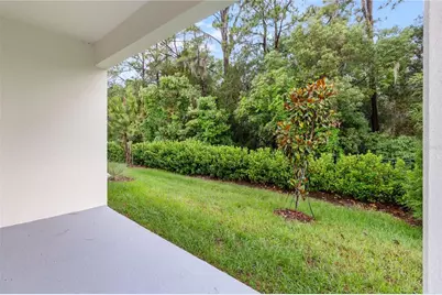 31365 Paper Birch Street, Wesley Chapel, FL 33545 - Photo 18