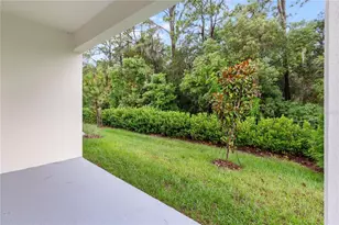 31365 Paper Birch St, Wesley Chapel, FL 33545 - Photo 18
