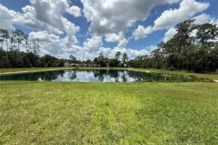 30596 Thunderbird Dr, Wesley Chapel, FL 33545 - Photo 6