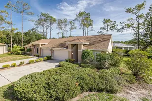 9519 Scenic Pine Ct, New Port Richey, FL 34655 - Photo 2