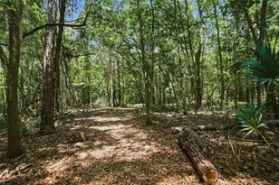 24050 Winding Creek Dr, Brooksville, FL 34601 - Photo 84