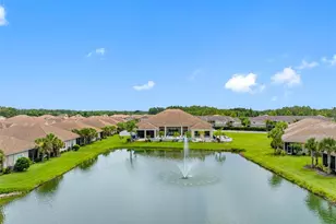 29817 Ganga Way, Wesley Chapel, FL 33543 - Photo 34