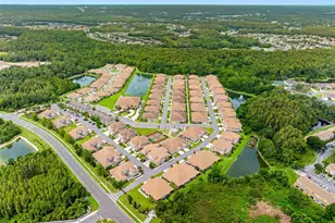 29817 Ganga Way, Wesley Chapel, FL 33543 - Photo 32