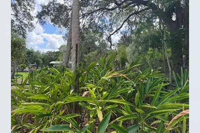 11878 W Riverhaven Drive, Homosassa, FL 34448 - Photo 12