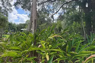 11878 W Riverhaven Dr, Homosassa, FL 34448 - Photo 12
