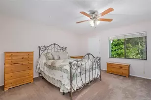 130 Nancy Dr, Oldsmar, FL 34677 - Photo 50