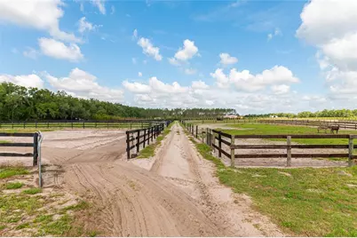 2009 SW 20th Street, Bell, FL 32619 - Photo 54