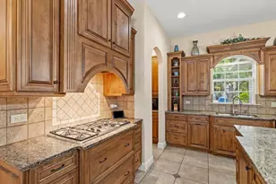 19617 Eagle Crest Dr, Lutz, FL 33549 - Photo 24
