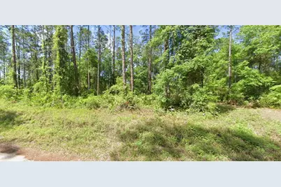 0 NE 156 Place, Fort Mc Coy, FL 32134 - Photo 1
