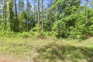 0 NE 156 Pl, Fort Mc Coy, FL 32134 - Photo 1