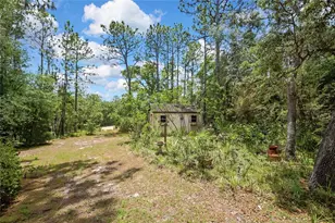 862 W National St, Hernando, FL 34442 - Photo 10