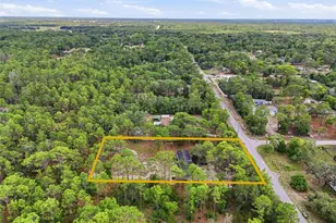 18200 Normandeau St, Spring Hill, FL 34610 - Photo 18