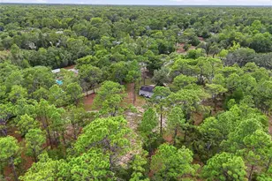 18200 Normandeau St, Spring Hill, FL 34610 - Photo 28