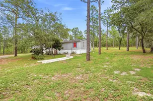 18200 Normandeau St, Spring Hill, FL 34610 - Photo 8