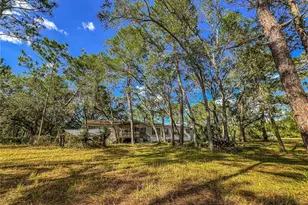 14209 Tayco Dr, Weeki Wachee, FL 34614 - Photo 12