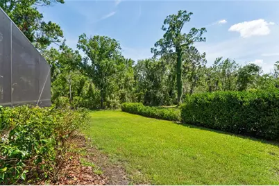 1087 Riverside Ridge, Tarpon Springs, FL 34688 - Photo 78