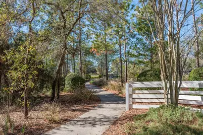 13393 Golden Lime Avenue, Spring Hill, FL 34609 - Photo 40