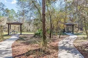 13393 Golden Lime Ave, Spring Hill, FL 34609 - Photo 46