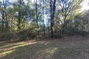 0 SW 22nd Pl, Ocala, FL 34481 - Photo 1