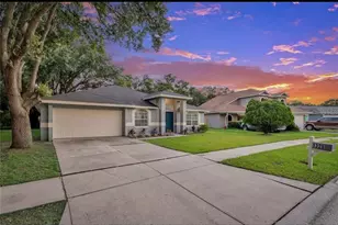 1328 Gangplank Dr, Valrico, FL 33594 - Photo 1