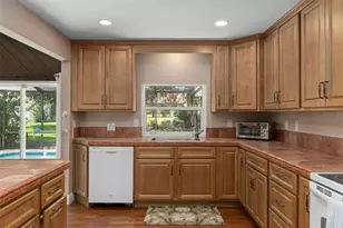 12380 Trout Cir, Spring Hill, FL 34609 - Photo 20