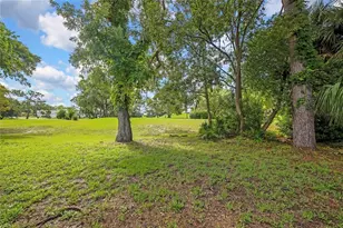 8480 Maybelle Dr, Weeki Wachee, FL 34613 - Photo 40