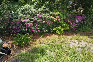 6627 Parkside Dr, New Port Richey, FL 34653 - Photo 58